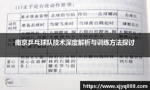 南京乒乓球队技术深度解析与训练方法探讨